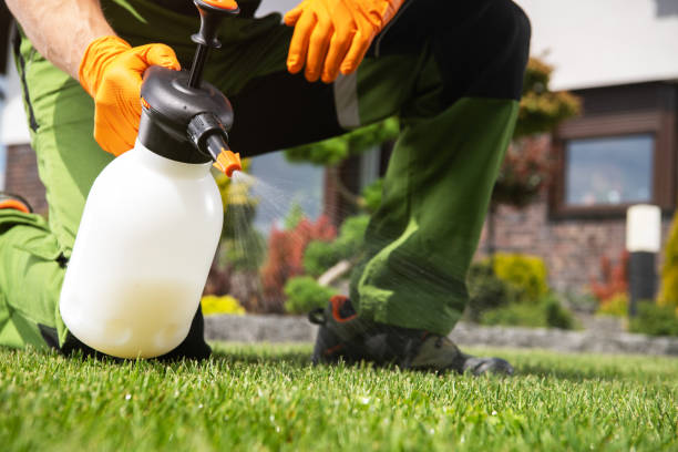 Best Best Pest Control Companies  in Franklin, NH