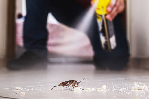 Best Bed Bug Extermination  in Franklin, NH